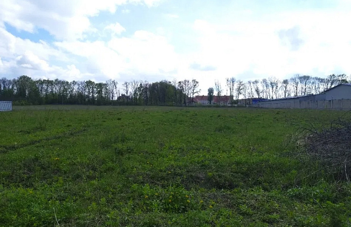 земельный участок, 15000 м², переулок Амосова, 3, Софиевская Борщаговка земельный участок, 15000 м², переулок Амосова, 3, Софиевская Борщаговка