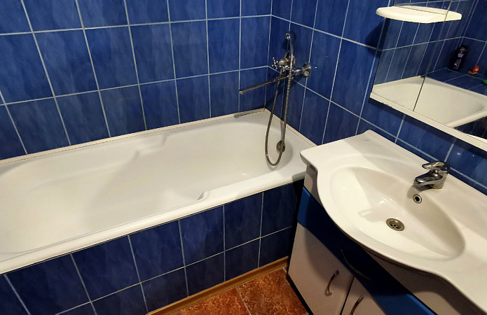 Большой дом с участком в Великой Дымерке, 153кв.м., две скважины Большой дом с участком в Великой Дымерке, 153кв.м., две скважины